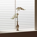 White Orchid Flowers In Light Colored Vase On Windowsill With White Blinds