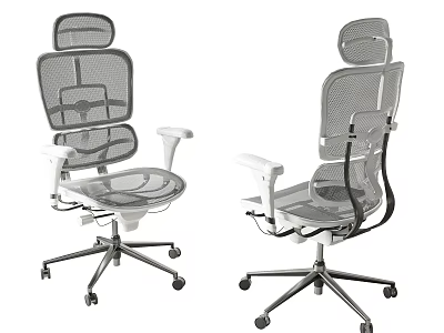 Ergonomic Mesh Office Chair With High Back Adjustable Armrests And Swivel Function 3d model