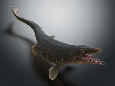 Prehistoric Aquatic Reptile With Long Snout Open Mouth And Textured Skin 3d model