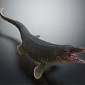 Prehistoric Aquatic Reptile With Long Snout Open Mouth And Textured Skin