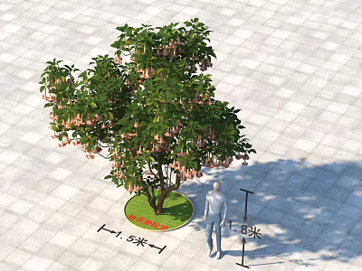 Arbor In Paved Square With 5m Crown Width 5.8m Height And Human Figure 3d model