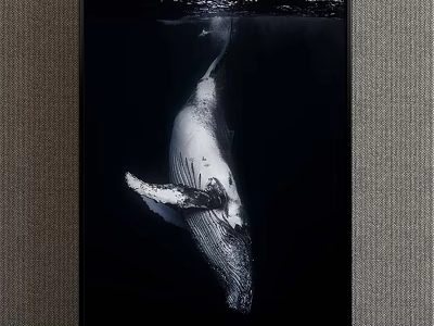 Whale Animal Painting In Black And White Underwater Ocean Scene Artwork 3d model