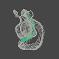 Coiled Snake Skeleton With Green Glowing Interior On Black Background