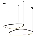 Modern Circular Metal Rings Chandelier with Multiple Hoops for Interior Design 3d model
