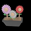 Colorful Potted Flowers With Pink White Red Petals Yellow Center Green Leaves In Black Pot