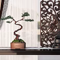 Pine Bonsai Plant In Brown Pot With Carved Screen And Curtain Decoration