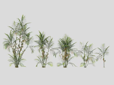 Different Varieties of Garden Shrubs with Lush Green Foliage and Various Sizes 3d model