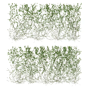 Modern Vine 3d model