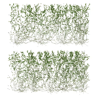 Modern Vine 3d model