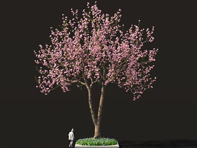 Sakura Inspired Food Display With Pink Blossom Tree And Green Grass 3d model