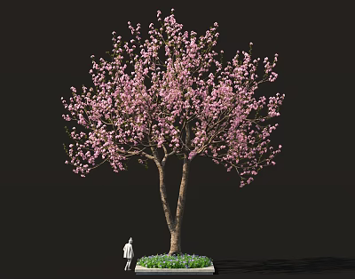 Sakura Inspired Food Display With Pink Blossom Tree And Green Grass 3d model