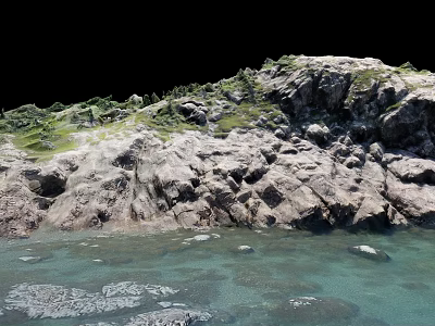 Natural Coastal Landscape with Stone Rocks and Wooden Logs by Clear Blue Water 3d model