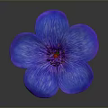 Bonsai Plant with Blue Flower Purple Petals Yellow Stamens and Green Stem Leaves