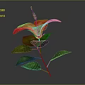 Vibrant Red Flower with Lush Green Leaves Isolated on Grey Background
