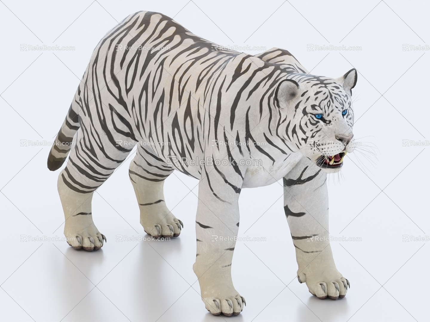 White Tiger Tiger Tiger King 3d model