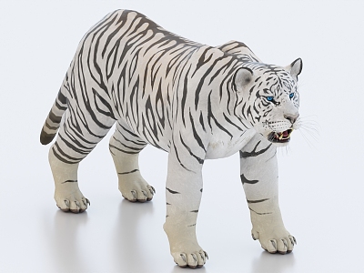 White Tiger King 3d model