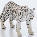 White Tiger Tiger Tiger King 3d model