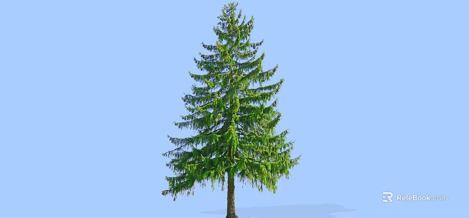 Tall Green Arbor With Lush Foliage And Straight Trunk Against Blue Sky Background 3d model 