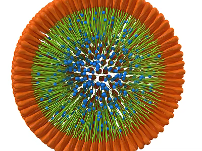 Medical Device Microstructure with Orange Outer Layer Green Inner Section and Blue Brown Particles 3d model