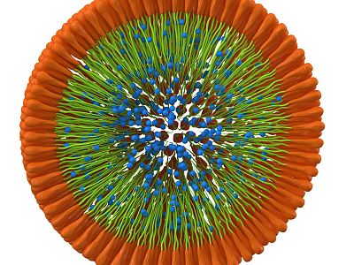 modern cell drug-carrying cell 3d model