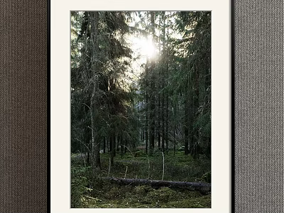 Forest Plant Painting With Sunlight Through Trees Mossy Ground And Fallen Trunk 3d model