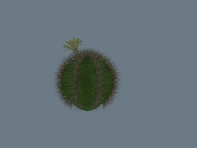 Potted Cactus Round Green Body With Spines And Small Yellow Flower For Indoor Decoration 3d model