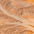 Scenic Desert Landscape with Rolling Sand Dunes and Textured Terrain in Warm Tones