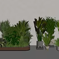 Assorted Indoor Green Plants In Different Pots For Modern Home Decor