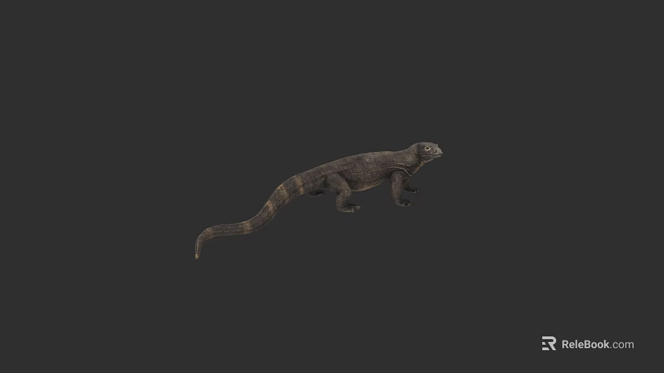Reptile Lizard With Scaled Body Long Tail And Dark Background 3d model 