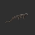 Reptile Lizard With Scaled Body Long Tail And Dark Background