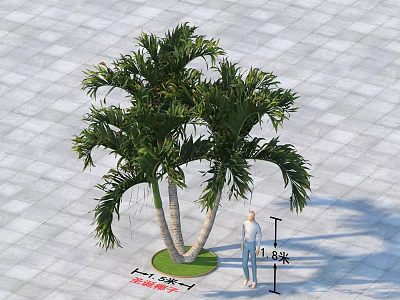 Twin Trunk Palm Tree With Green Base 5m Width 8m Height On Square Tiles 3d model