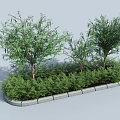 Green Shrubs And Small Trees In Garden Landscape With Stone Edging Design