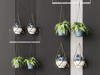 Hanging Green Plants In Blue Ceramic Pots Decorative Indoor Gray Wall 3d model