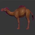 Single Hump Brown Camel Model Sculpture On Dark Reflective Surface 3d model