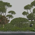 Artistic Plant Combination With Bonsai Trees Green Shrubs And Stone Elements 3d model