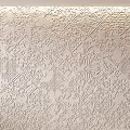 Elegant Textured Wall With Intricate Embossed Floral And Geometric Patterns Design