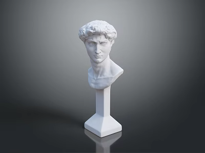 Human Head Shoulder Medical Anatomical Model on White Square Base with Dark Background Shadow 3d model