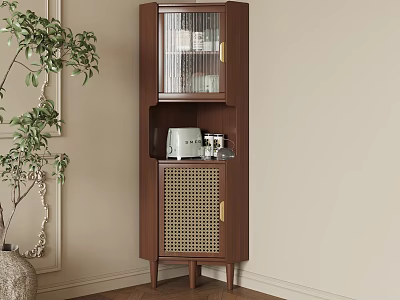 Elegant Wooden Sideboard With Glass Door And Lattice Design In Corner Interior With Plant 3d model