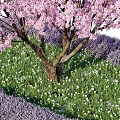 Cherry Blossom Tree with Pink Flowers Surrounded by Green Grass White Flowers and Purple Lavender