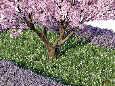 Cherry Blossom Tree with Pink Flowers Surrounded by Green Grass White Flowers and Purple Lavender 3d model