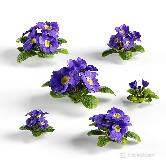 Vibrant Purple Bloom Clusters With Yellow Centers And Lush Green Leaves 3d model 