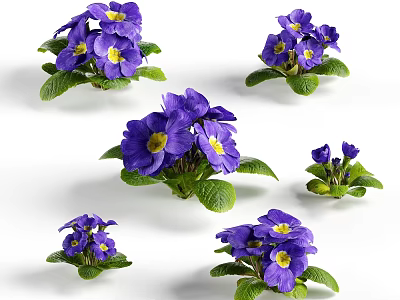 Vibrant Purple Bloom Clusters With Yellow Centers And Lush Green Leaves 3d model