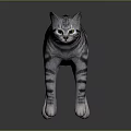 Realistic Gray Striped Cat With Detailed Fur Standing On Smooth Gray Background