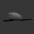 Natural Wood and Stone Decorative Landscape With Small Pond and Green Moss Elements