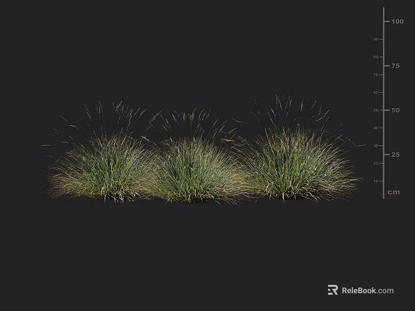 Three Clumps of Green Grass on Dark Background with Height Measurement Scale in Centimeters 3d model 