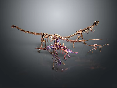 Colorful Dinosaur Skeletons Of Various Species In Museum Display Setup 3d model