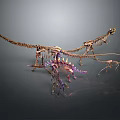 Colorful Dinosaur Skeletons Of Various Species In Museum Display Setup