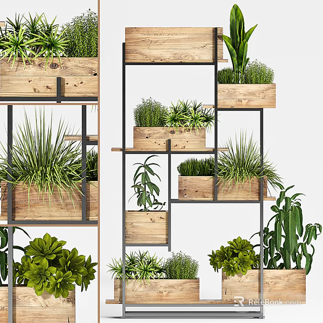 Indoor Bonsai Potted Plants On Multi Tiered Metal Shelves With Wooden Planters And Lush Greenery 3d model 