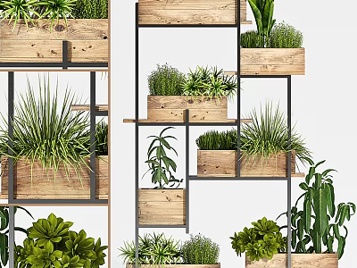 Indoor Bonsai Potted Plants On Multi Tiered Metal Shelves With Wooden Planters And Lush Greenery 3d model