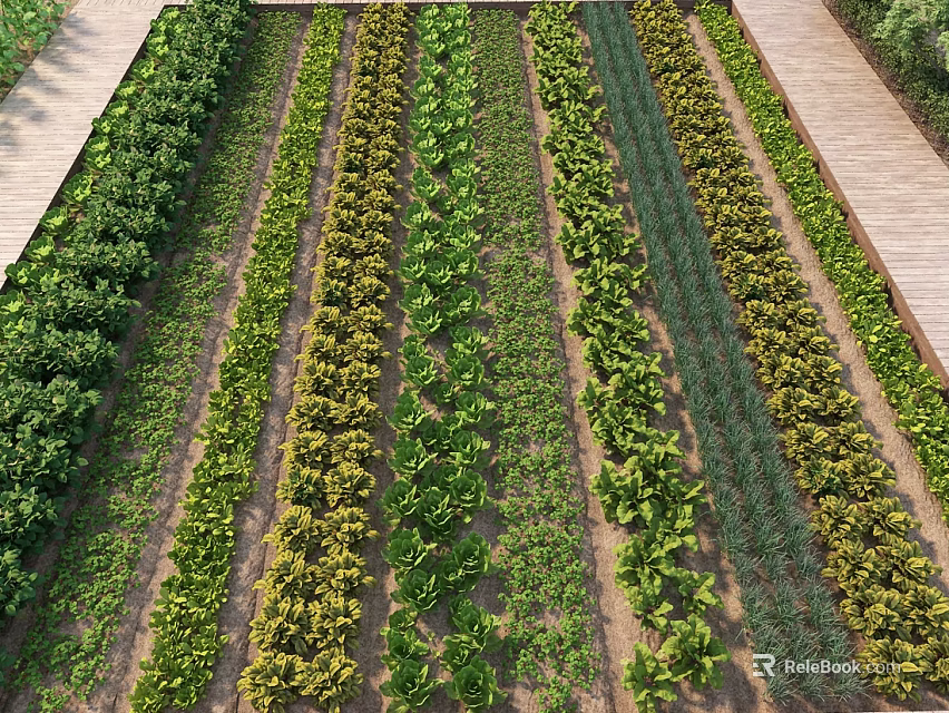 Rural Countryside Landscape With Neat Crop Rows Pathways And Diverse Vegetable Fields 3d model 